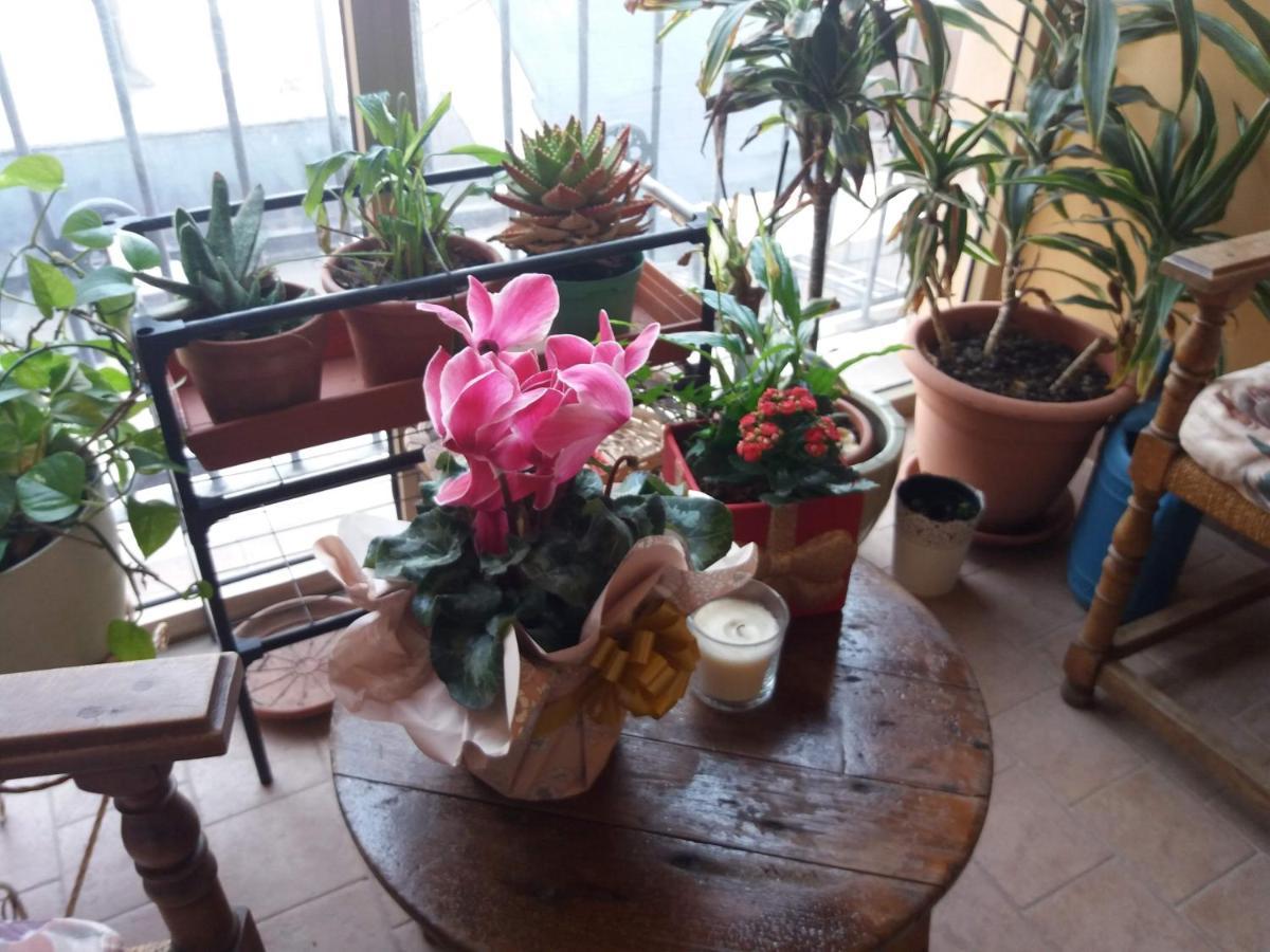 "La Maison Del Corso" Hospitality Pise Extérieur photo